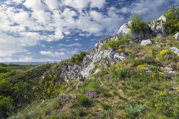 Palava Landscape Natural Monument Cat Rock Kocici Skala Southern Moravia — стоковое фото