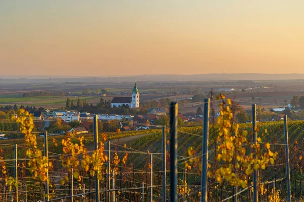 Autumnal Vineyard Unterretzbach Village Lower Austria Austria — Stock Photo, Image