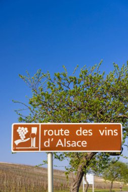 Colmar yakınlarındaki şarap yolu, Alsace, Fransa