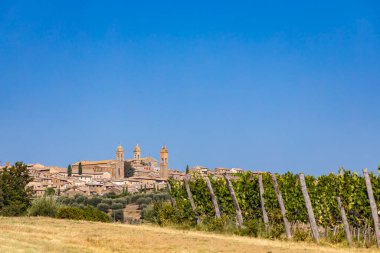 İtalya 'nın Montalcino kasabası yakınlarındaki Toskana' nın en ünlü üzüm bağları.