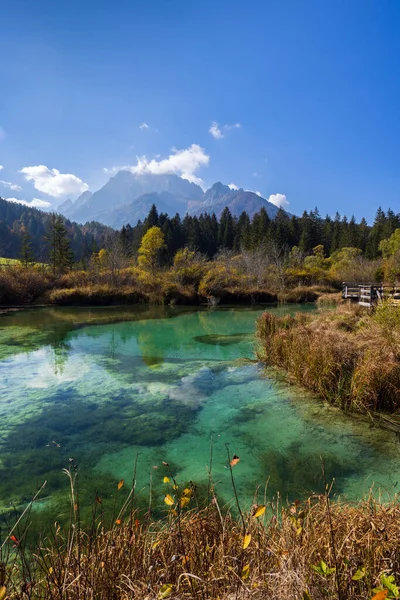 Autumnal Landscape Zelenci Slovenia — ストック写真