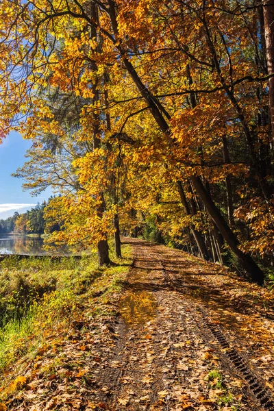 Typical Autumn Landscape Trebonsko Region Trebon City Southern Bohemia Czech — Foto de Stock