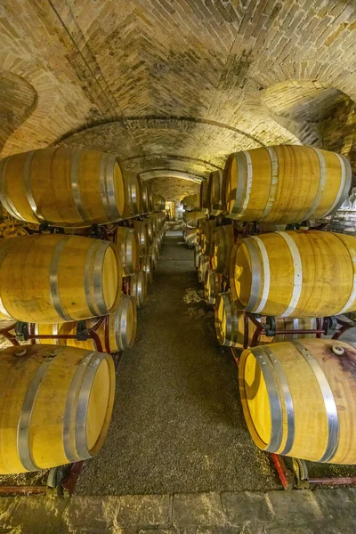 Wine Cellar Castello Razzano Piedmont Italy — Fotografia de Stock