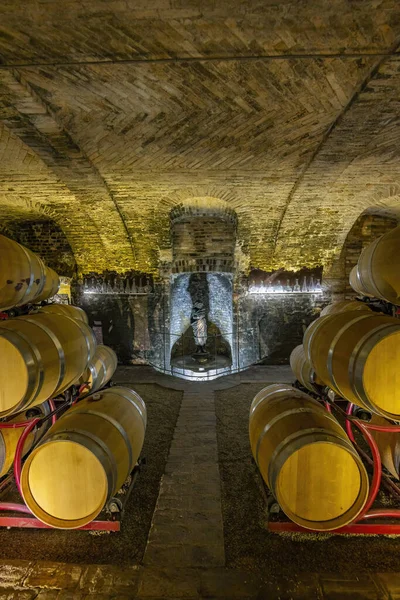 Wine Cellar Castello Razzano Piedmont Italy — Foto de Stock
