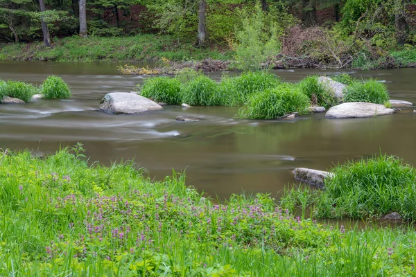 River Sazava Smrcna Czech Republic — Stock Photo, Image