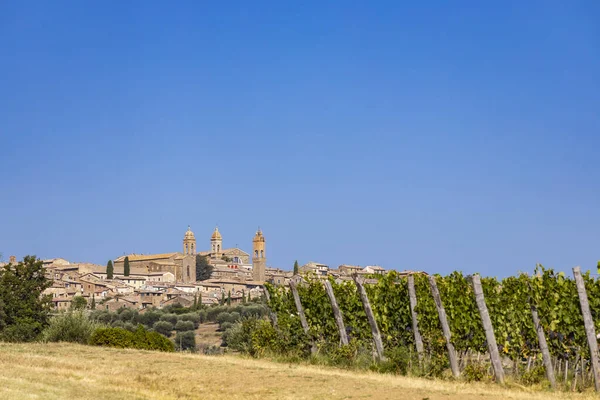 Самые Знаменитые Виноградники Тосканы Рядом Городом Монтальчино Италии — стоковое фото