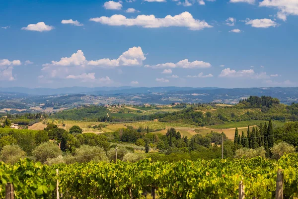 Виноградник Рядом Сан Джиминьяно Тоскана Италия — стоковое фото