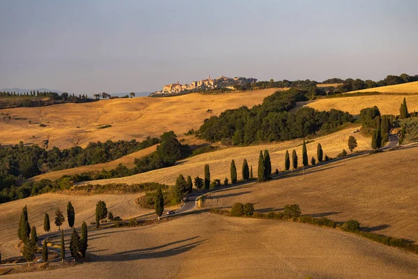 Cipressi Monticchielo Paisagem Típica Toscana Perto Montepulciano Itália — Fotografia de Stock