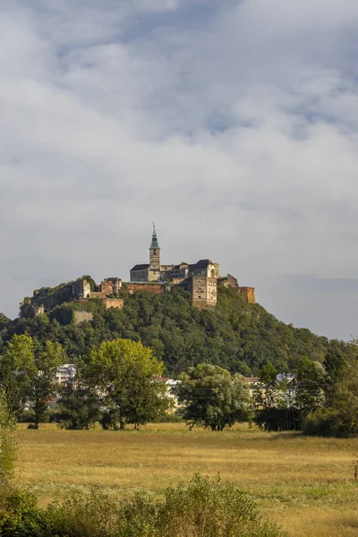Замок Гуссінг Південний Бургенленд Австрія — стокове фото