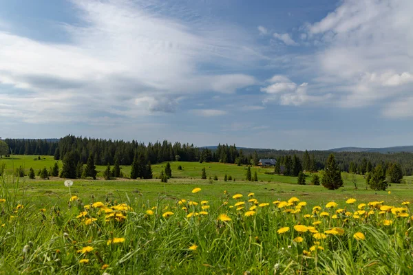 Typiskt Landskap Nära Modrava Nation Park Sumava Tjeckien — Stockfoto