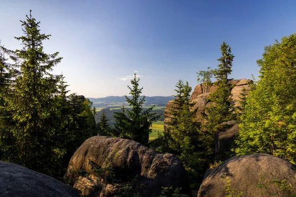 Ущелина Блексміт Kovarova Rokle Природний Заповідник Брумоске Стені Східна Богемія — стокове фото