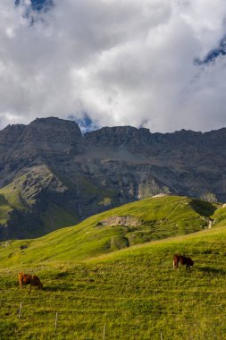Lac du Mont Cenis yakınlarındaki manzara, Savoy, Fransa