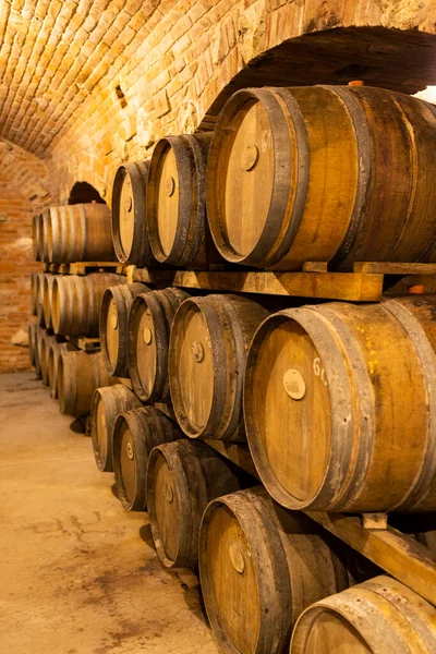 Wine Cellars Barrels Rakvice Southern Moravia Czech Republic — Stock Fotó
