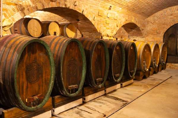 Wine Cellars Barrels Rakvice Southern Moravia Czech Republic — Stok fotoğraf