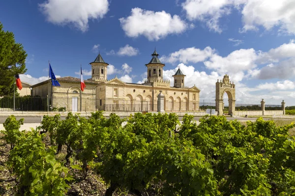 Vineyards Chateau Cos Estournel Bordeaux Aquitaine France — Stock Photo, Image