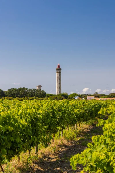 Lighthouse Baleines Island Charente Maritime France — стоковое фото