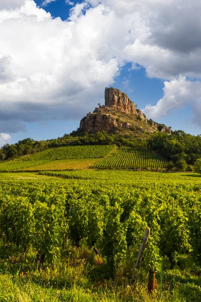 Rocha Solutre Com Vinhas Borgonha Solutre Pouilly França — Fotografia de Stock