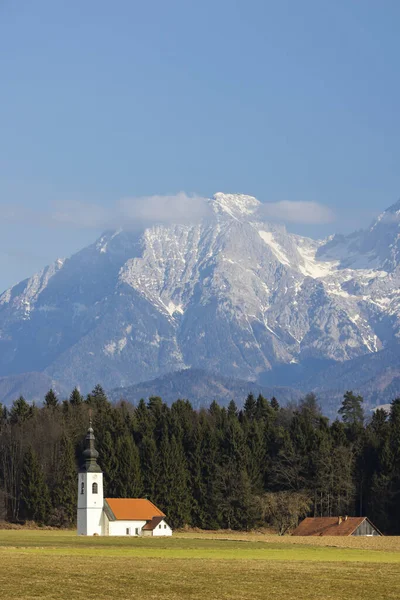 Landscape Church Kranj Slovenia — Stockfoto
