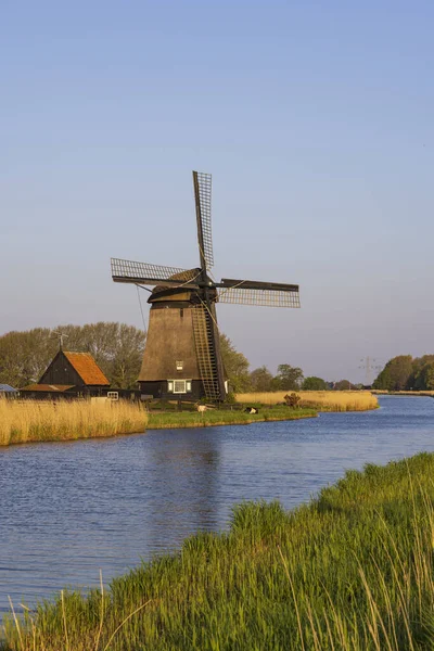 Otter Windmill Alkmaar Netherlands — Stock Fotó