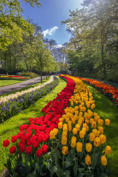 Keukenhof Flower Garden Maior Parque Tulipas Mundo Lisse Países Baixos — Fotografia de Stock