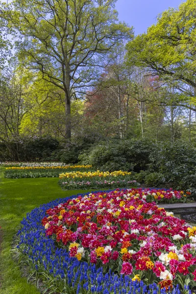 Keukenhof Virágoskert Világ Legnagyobb Tulipánparkja Lisse Hollandia — Stock Fotó