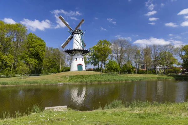 Obręcz Wiatraków Tholen Holandia — Zdjęcie stockowe