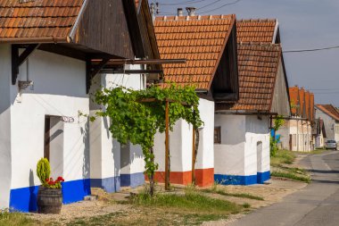 Traditional wine cellars in Blatnice pod Svatym Antoninkem, Slovacko, Southern Moravia, Czech Republic