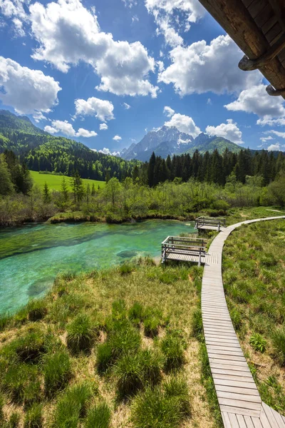 Spring Landscape Zelenci Slovenia — Stock Photo, Image