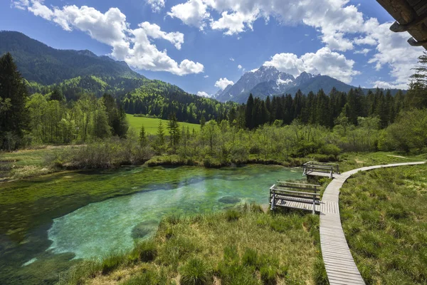 Spring Landscape Zelenci Slovenia — Photo