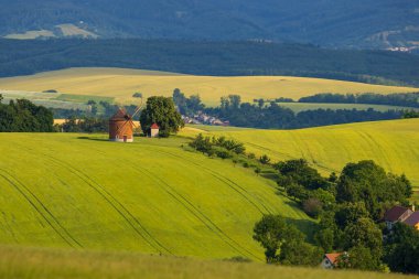 Chvalkovice, Güney Moravya, Çek Cumhuriyeti 'nde yel değirmeni