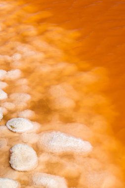 Camargue bölgesindeki Salin de Giraud, Provence, Fransa