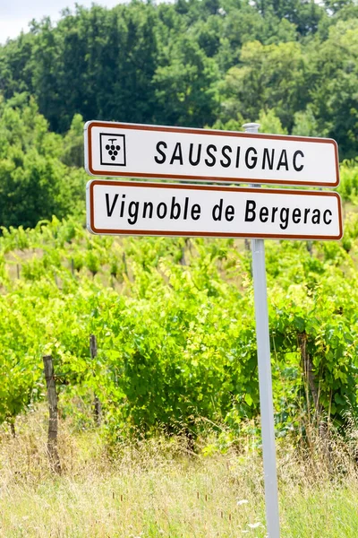 Виноградник Saussignac Регионе Бержерак Dordogne Deparment Франция — стоковое фото