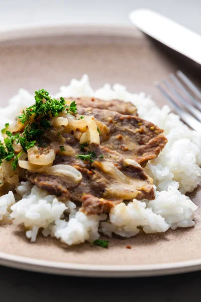 pork meat with onion sauce and rice