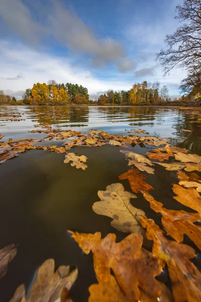 Autumn Pond Trebon Southern Bohemia Czech Republic — Stock Photo, Image