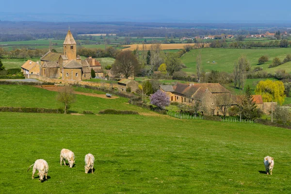 Neklerle Bahar Manzarası Eglise Notre Dame Lancharre Bourgogne Fransa — Stok fotoğraf