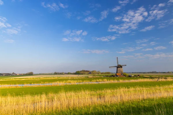 荷兰诺德霍兰德的风车 — 图库照片