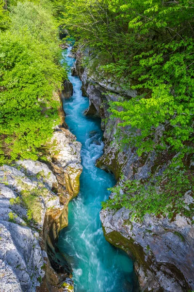 Grote Soca Kloof Velika Korita Soce Triglavski Nationaal Park Slovenië — Stockfoto