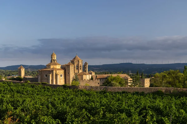 Королевское Аббатство Санта Мария Поблет Монастырь Цистерна Каталония Испания — стоковое фото