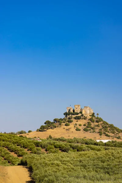 Schloss Almodovar Del Rio Andalusien Spanien — Stockfoto