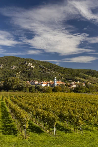 Dolina Wachau Koło Durnsteinu Unesco Krajobraz Winnicami Austria — Zdjęcie stockowe