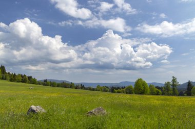 Modrava yakınlarındaki tipik manzara, Ulus Parkı Sumava, Çek Cumhuriyeti