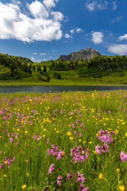Kalbelesee yakınlarındaki manzara, Hochtann Dağı Geçidi, Warth, Vorarlberg, Avusturya