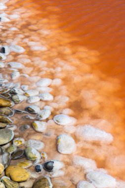 Camargue bölgesindeki Salin de Giraud, Provence, Fransa