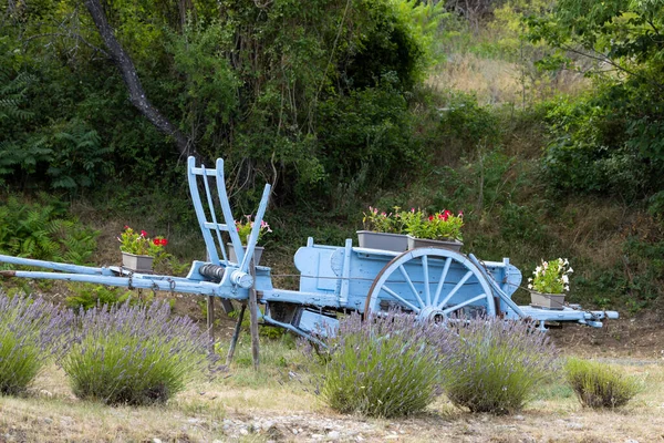 Modrý Dřevěný Vozík Levandulí Provence Francie — Stock fotografie