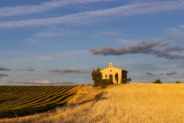 Chapel Plateau Valensole Provence France — Stock Photo, Image