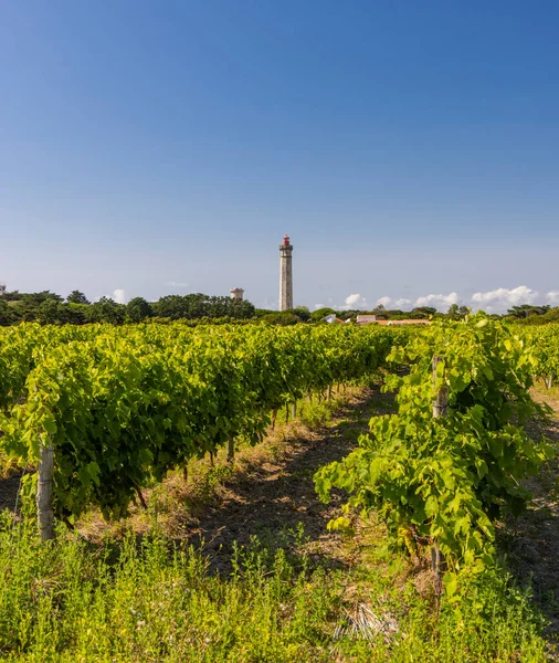 Lighthouse Baleines Island Charente Maritime France — Foto Stock