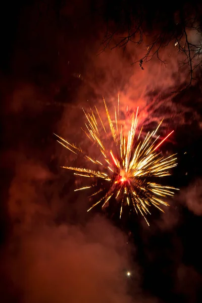 Celebration Fireworks Show Night — Stock Photo, Image