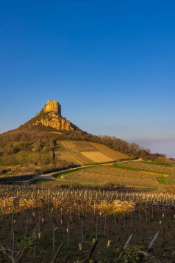 Üzüm bağı olan Solutre Kayası, Burgundy, Solutre-Pouilly, Fransa