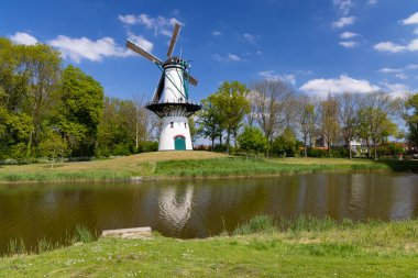 Hollanda, Tholen 'deki Yel Değirmeni Kapağı