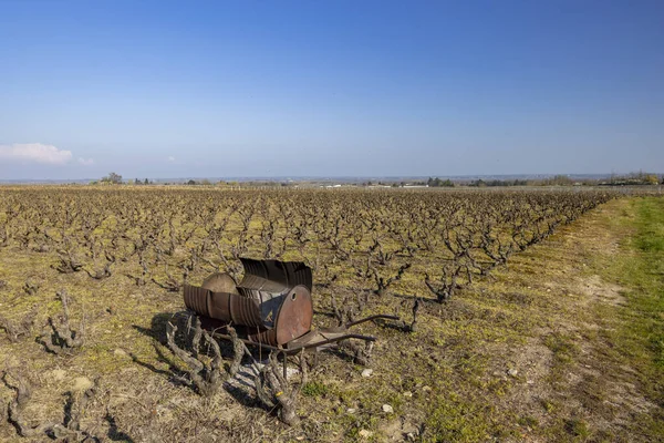 Spring Vineyards Rully Burgundy France — Stockfoto